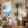 PALMA DRACENA W DONICZCE 150CM